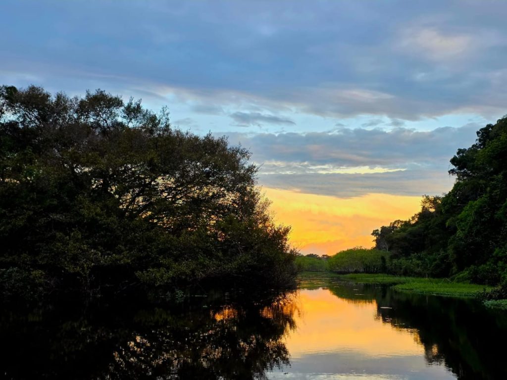 Atardecer en la selva