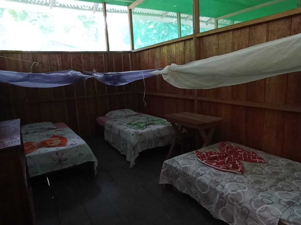 refugios en la selva