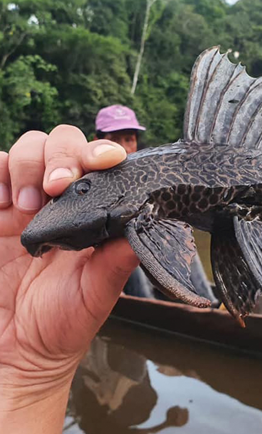 Amazon Sport Fishing Tour