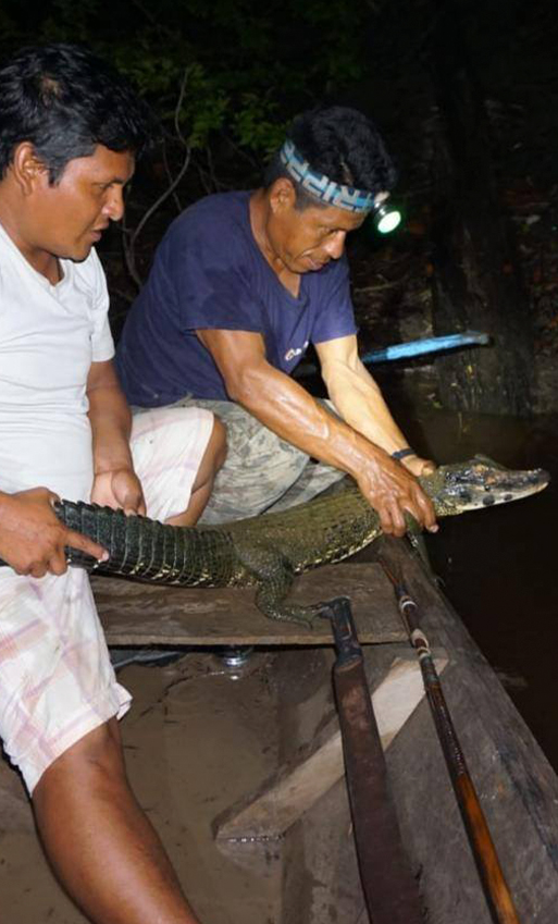 Amazon Sport Fishing Tour